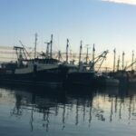 Image: A row of fishing boats docked at sunset