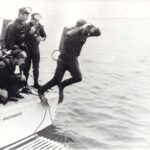 Image: A scuba diver enters the water off the stern of a motor boat, while other divers look on