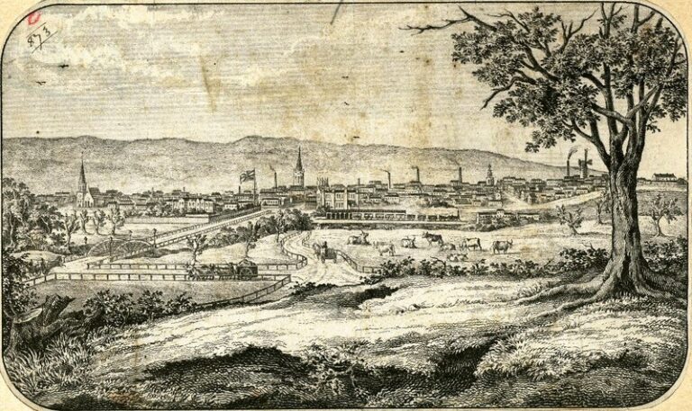 Image: view of Adelaide in 1860
