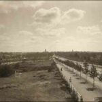 Image: a tree lined road stretches through parklands and across a river. Pedestrians in late 19th century clothes walk down a wide footpath while a horse drawn bus can be seen on the road. In the park to the left of the photo there is a small rotunda.