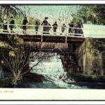 Image: a group of people standing on a bridge in a park