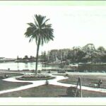 Image: A large palm tree surrounded by flowers, paths and lawns stands on the bank of a lake. In the foreground a man can be seen sitting on a park bench whilst in the background a low bridge can be seen crossing the lake.