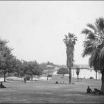 Image: a number of groups of people in 1950s clothing stroll through parklands or sit in the shade of trees by a lake.