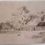 Image: section of a sketch showing house and wooden outbuildings set among large gum trees