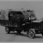 Image: A man sits in the driver's seat of a early 20th century truck heavily loaded with fruits and vegetables.