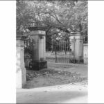 Image: A large entrance gate to Botanic Park