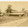 Image: two horses graze on grass beside a large building with arched windows, a low pitched roof, and verandahs running along its longer sides.