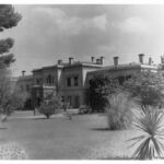 Image: A large two-storey house flanked by trees and a lawn containing other plants