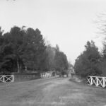 Image: People walking across a bridge on Victoria Drive