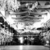 Image: a large hall with a second storey gallery running around the edges and an intricate ceiling is decorated by large displays of flowers arranged to look like blossoming trees. On the far wall is a sign reading God Save the King.