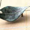 Image: Photograph of a bronze leaf