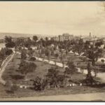 Image: view of a garden in the middle of a city