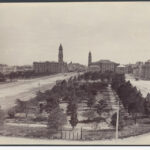 Image: view of trees with buildings in the background