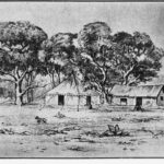 Image: black and white pencil sketch of huts and trees