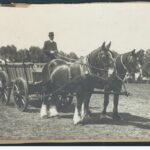 Image: Man sitting in a wagon drawn my two horses