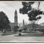 Image: view of trees with buildings in the background