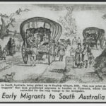 Image: Text on image reads: Migrants to South Australia being picked up in English villages, 1836. This rare print shows the 'covered waggons' that took preselected to London or Plymouth, where they were embarked for the long voyage to the Antipodes.