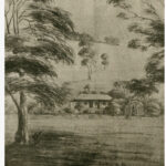 Image: photograph of a drawing showing the homestead at Bungaree Station