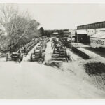 Image: Three lines of early twentieth century harvesting machines are positioned adjacent to a light-coloured building with the words ‘David Shearer Ltd.’ painted on its side