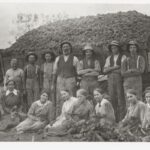 Image: Group of people in front of a large cart of harvested grapes