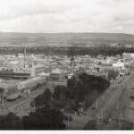 Image: view of trees and cityscape