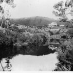 Image: A body of water with buildings set behind it in the foreground, a sprawling vineyard on a hill in the background