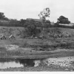 image: a row of tents along a grassy river bank