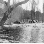 Image: Flooded tents on the banks of a river under a large weeping willow tree