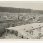 Image: overheard view of buildings and saw mill with pine forest in background