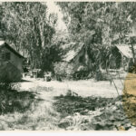 image: Three huts alongside a river among many trees