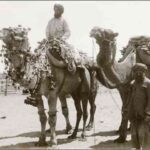 Image: One Afghan man rides his camel, while another Afghan stands next to his. The camel with rider is wearing a decorative harness