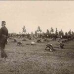 Image: First Arbor Day celebration