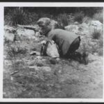 Image: A man in a hat and outdoor clothing is poised on all-fours and looking intently at the ground. A light-coloured bag is on the ground next to him