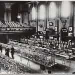 Image: Two men and a woman stand in a large open room with four large tables arrayed in rows. On each table are several cages, each of which contains one live bird