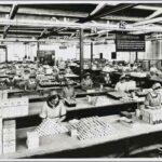 Image: Faulding Laboratories workers