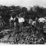 Image: A group of men dressed in work clothes and wide-brimmed hats pose for a photograph next to piles of fire-damaged sacks