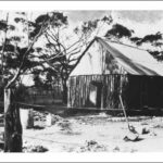 Image: A simple, single-storey timber hut with a corrugated metal roof is nestled amongst a small cluster of gum trees