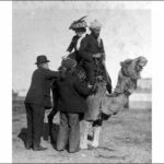 Image: An Afghan man and Australian woman sit on the back of a camel, while two men attempt to make the camel kneel