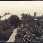 Image: A small cottage with corrugated metal roof surrounded by well-tended flowers and other plants