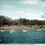 Image: Men and women row boats on an artificial lake set in the middle of a park while a large crowd watches from the shore.