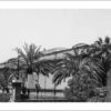 Image: A plain, windowless building is mostly obscured by large palm trees