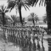 Image: Soldiers march in front of Torrens Parade Ground