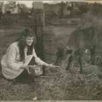 Image: A theatrical still of a young woman squatting beside a tethered calf as she feeds it from a tin. The label on the tin has a brand name for Country Stores, 290 Rundle Street, Adelaide