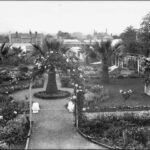 Image: A large, formal garden featuring several rose bushes, three palm trees, a gazebo and winding paths