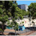 Image: a skateboarder makes use of a specialist skate park, set amongst trees. The backs of the ramps are covered in graffiti.