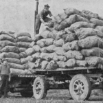 Image: Truck loaded with animal bones