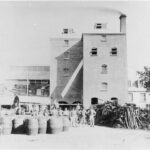 The brewing tower at West End Brewery, Hindley Street, Adelaide, 1890s