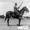 Image: Portrait of soldier on horse