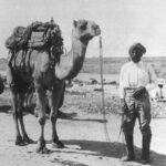 Image: Man in turban standing with saddled camel