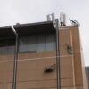 Image: Three leaves in Truman's work on North Terrace facade of David Jones building.